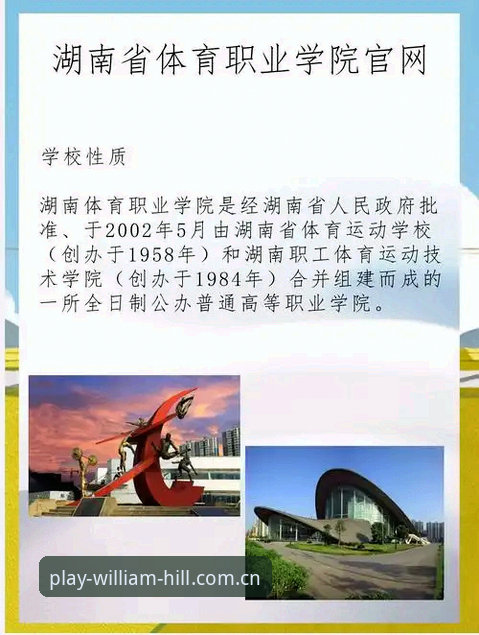 威廉希尔下载的5大核心优势：从数据看专业体育娱乐平台如何提升决策效率